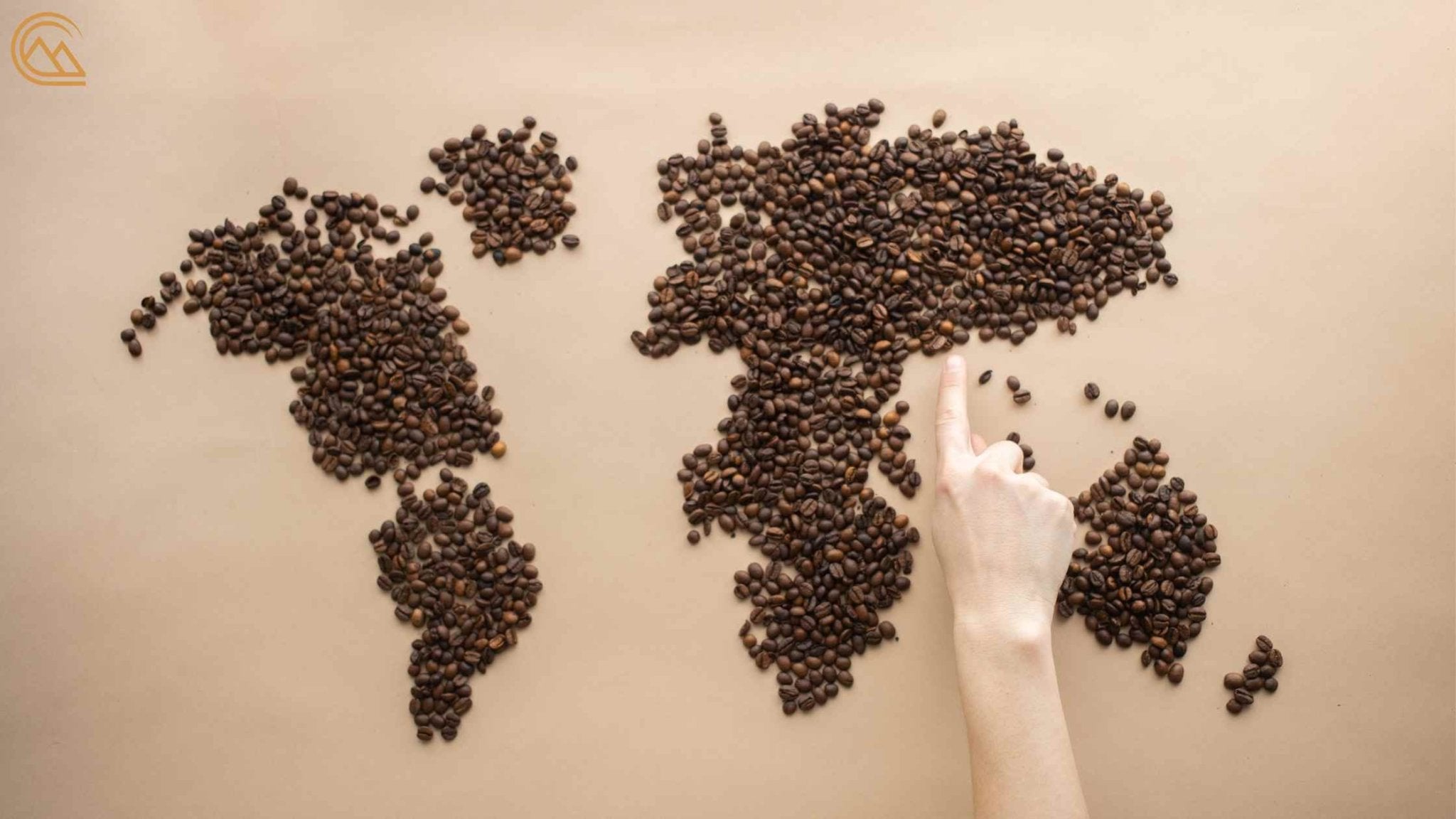Coffee Bean Varieties: Exploring the World's Best Origins - Canche Coffee