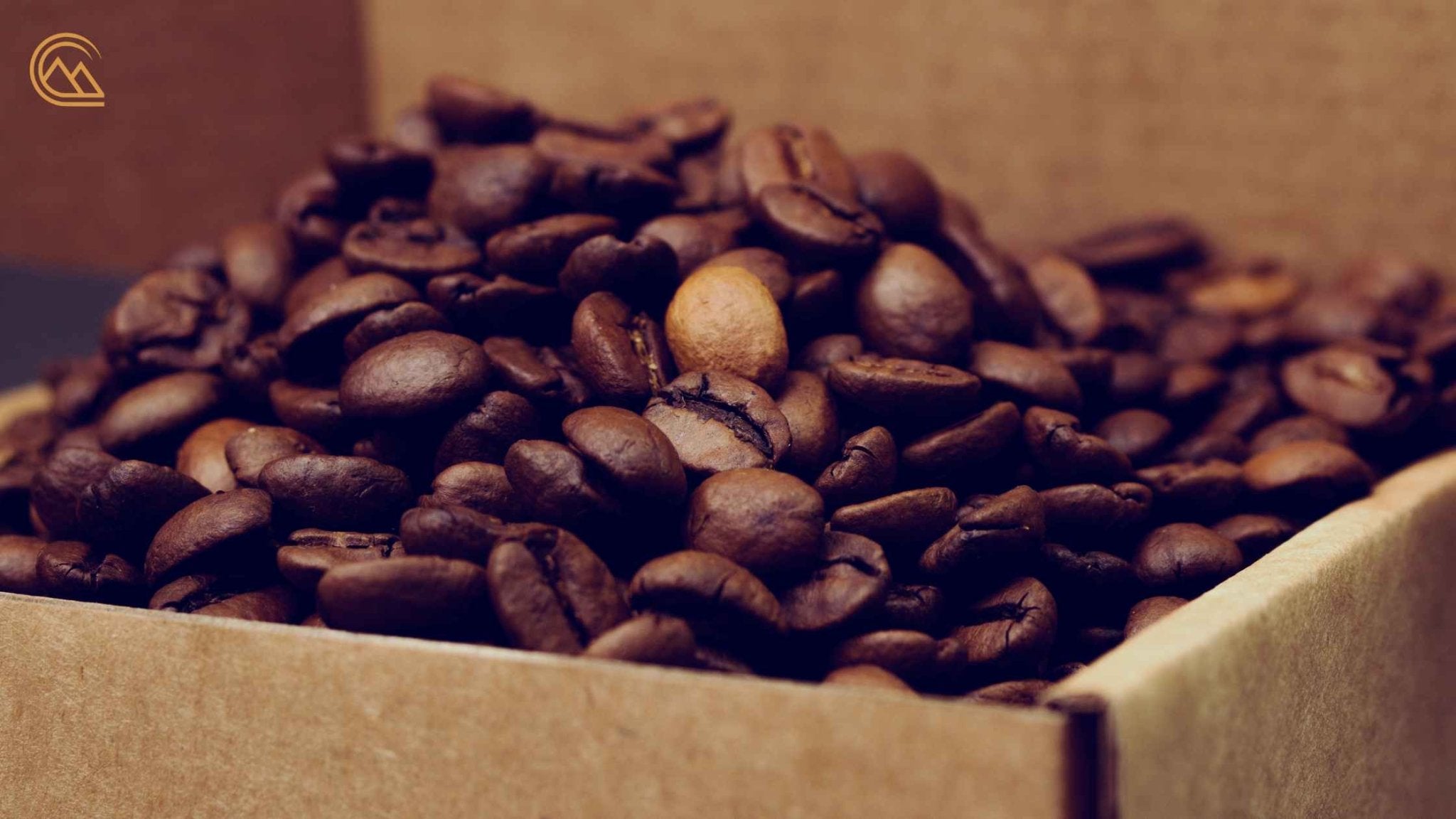 Coffee Subscription Services: A Convenient Way to Discover New Beans - Canche Coffee