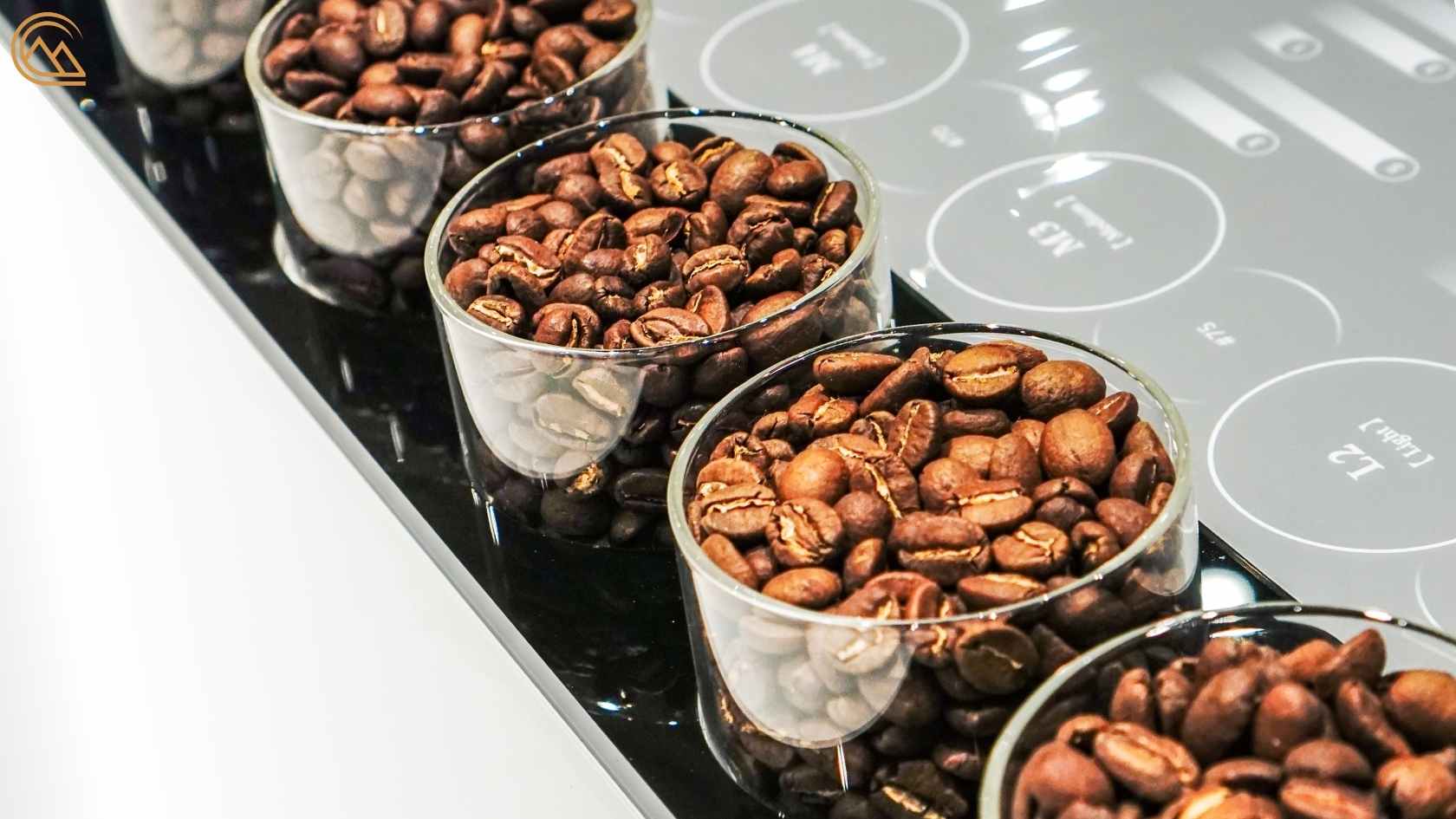 Single-Origin vs. Blended Coffee: A Tasteful Dilemma - Canche Coffee
