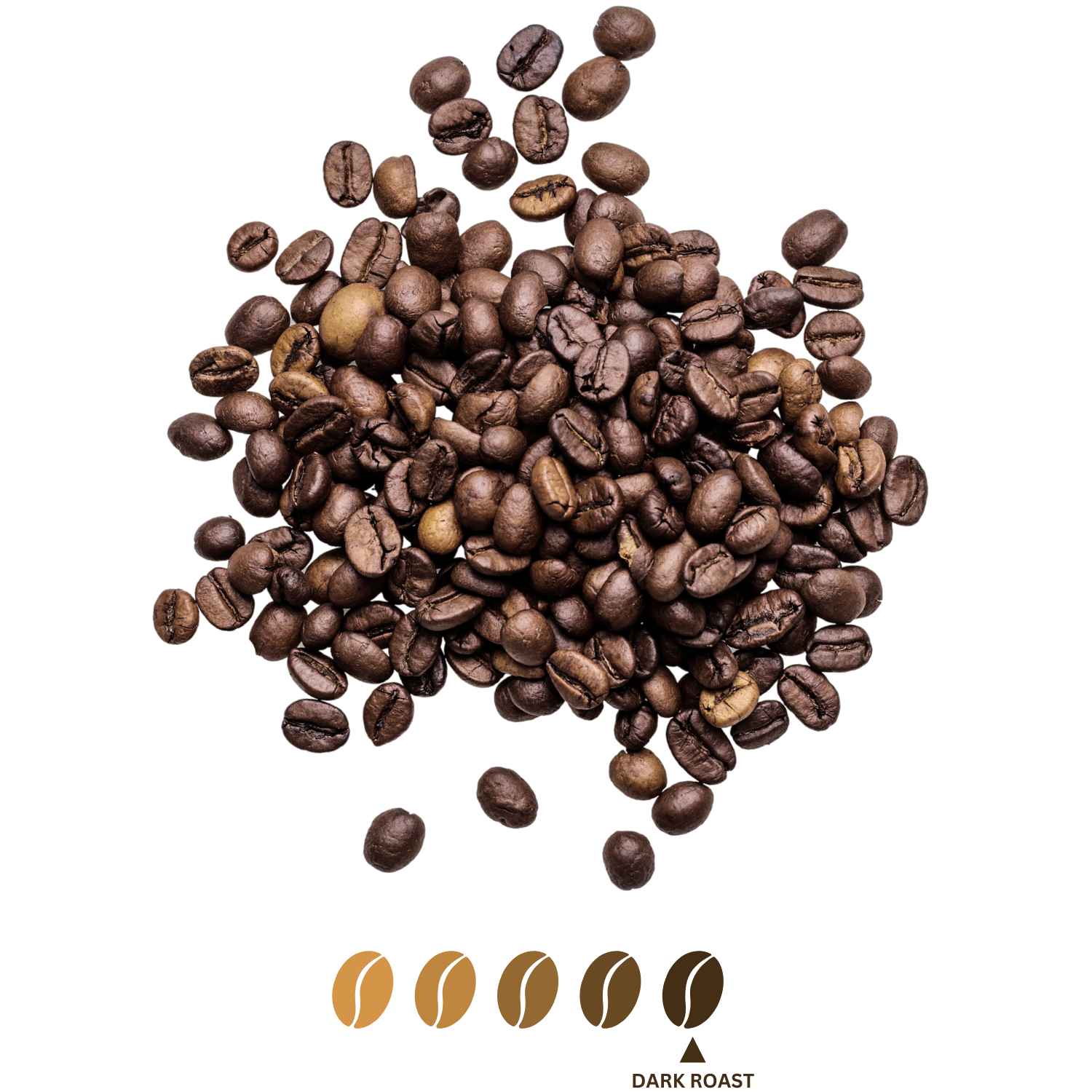 6 Bean Blend - Canche Coffee