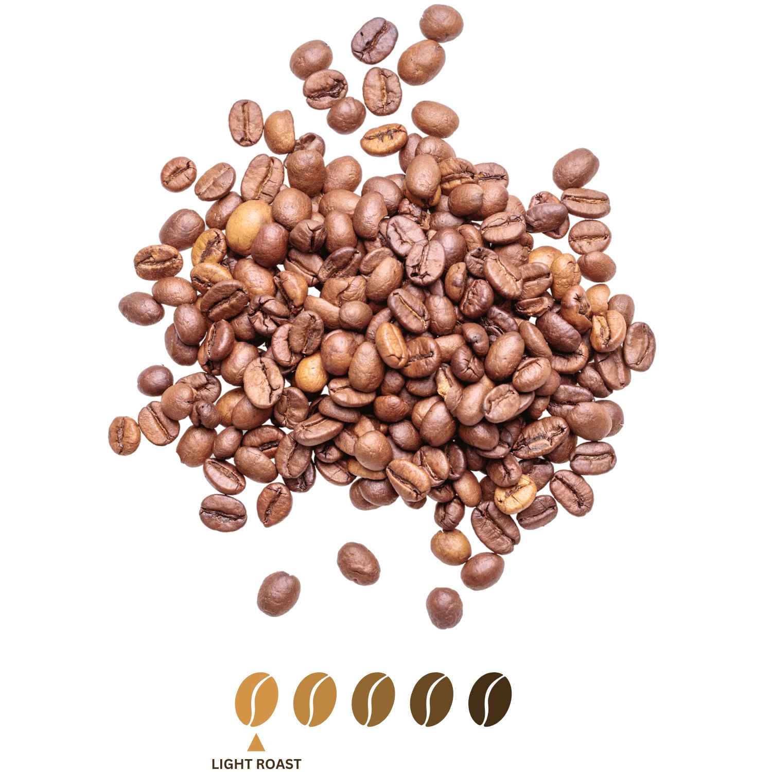 Blonde - Canche Coffee