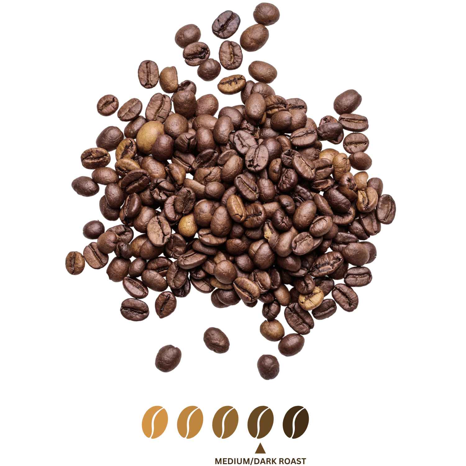 Latin American Blend - Canche Coffee